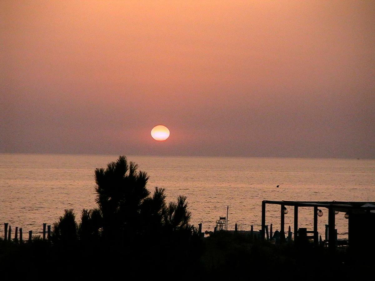 Amazing Sea View Flat Villa Tirrenia Bagian luar foto