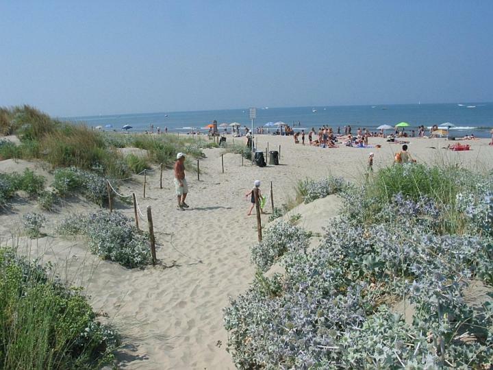 Amazing Sea View Flat Villa Tirrenia Bagian luar foto