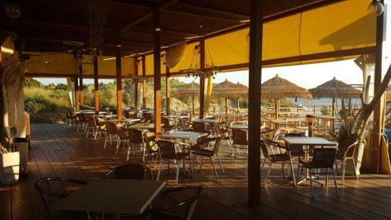 Amazing Sea View Flat Villa Tirrenia Bagian luar foto